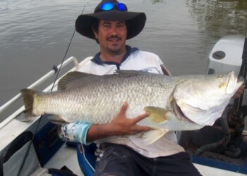 REPORT – Shady fun comes to an end